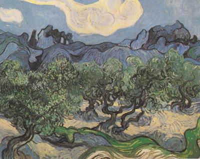 Vincent Van Gogh Olive Trees with the Alpilles in the Background (nn04) China oil painting art